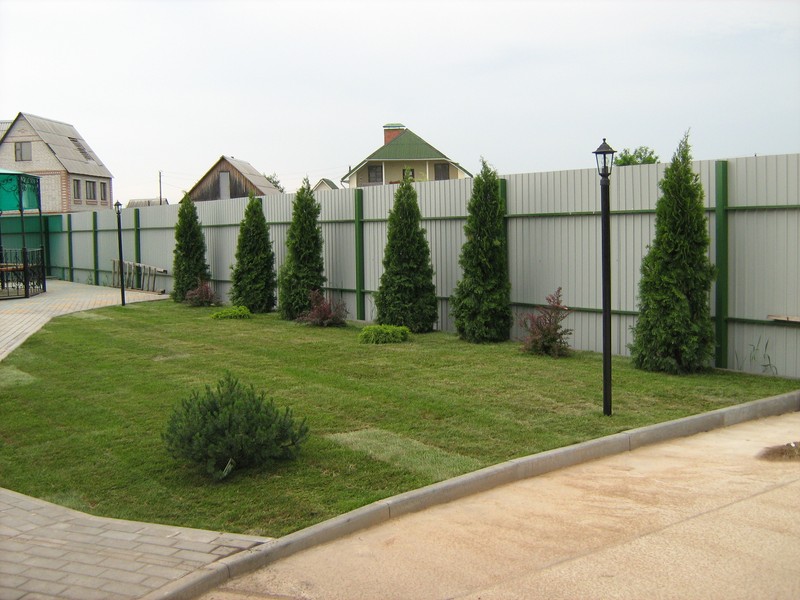газон, рулонный газон Воронеж